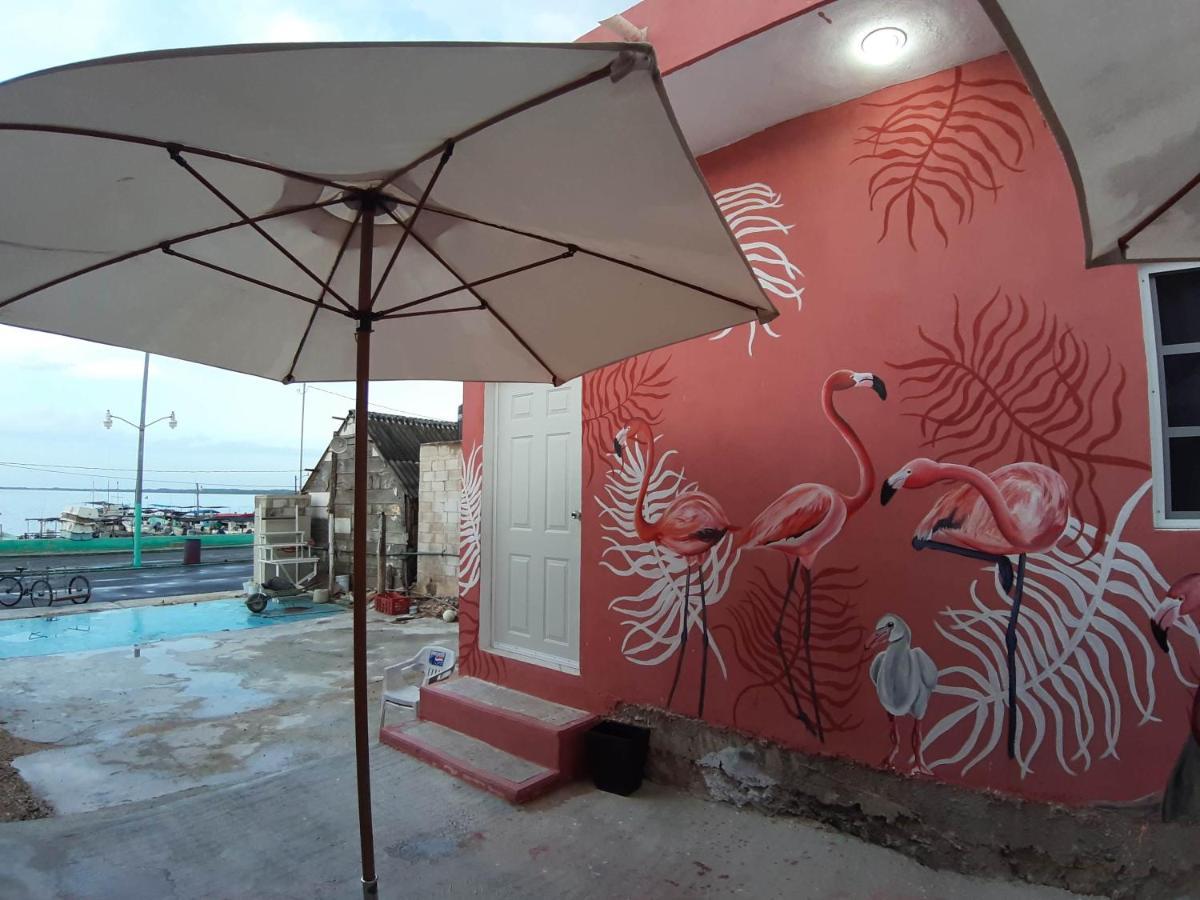 Habitaciones Chiquil Ha Río Lagartos Buitenkant foto